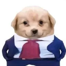 Meme de um cachorrinho fofo, com uma cabeça grande e corpo pequeno, usando um terno azul e uma gravata vermelha, com uma expressão sorridente.