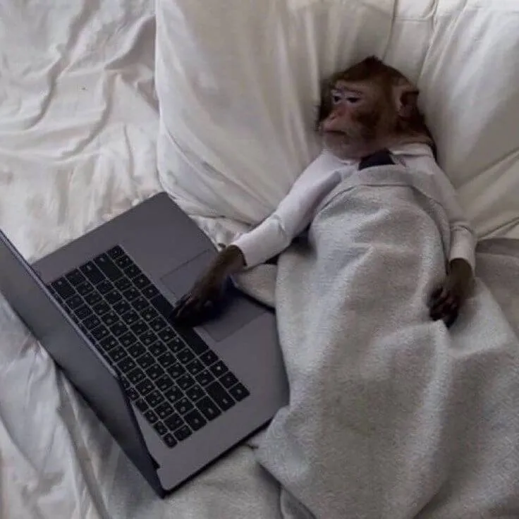 Meme de um macaco deitado em uma cama, coberto por um lençol e vestindo o que parece ser uma camisa social. Ele está com a mão no teclado de um notebook aberto ao seu lado, com uma expressão de cansaço ou exaustão, ilustrando o trabalho remoto feito sem sair da cama.